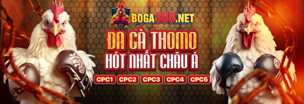Hình ảnh chính AG Bong88 Login